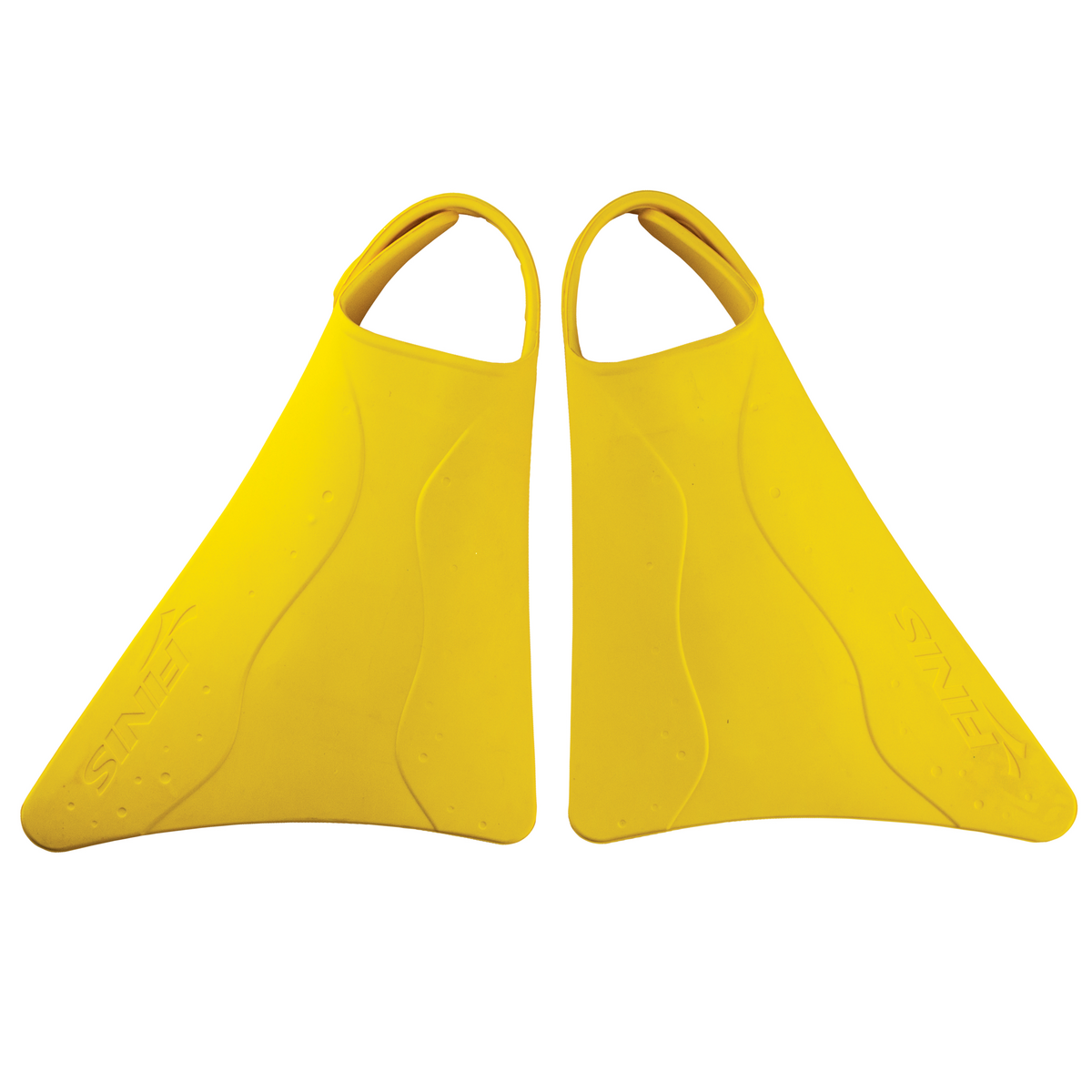 Fishtail 2 Fins