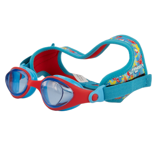 DragonFly Goggles