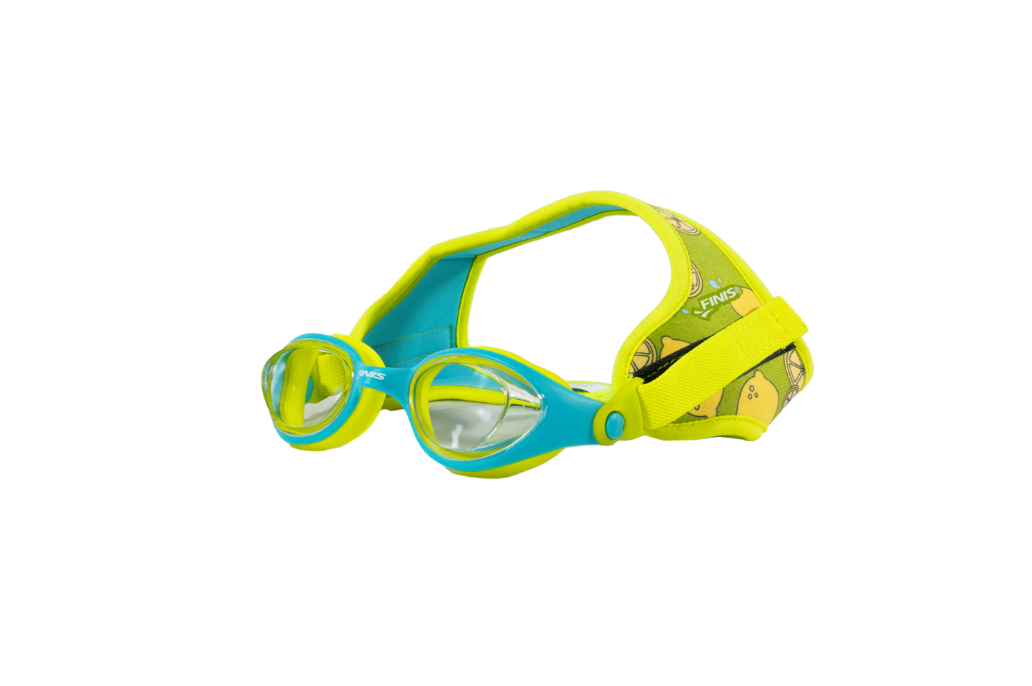 DragonFly Goggles