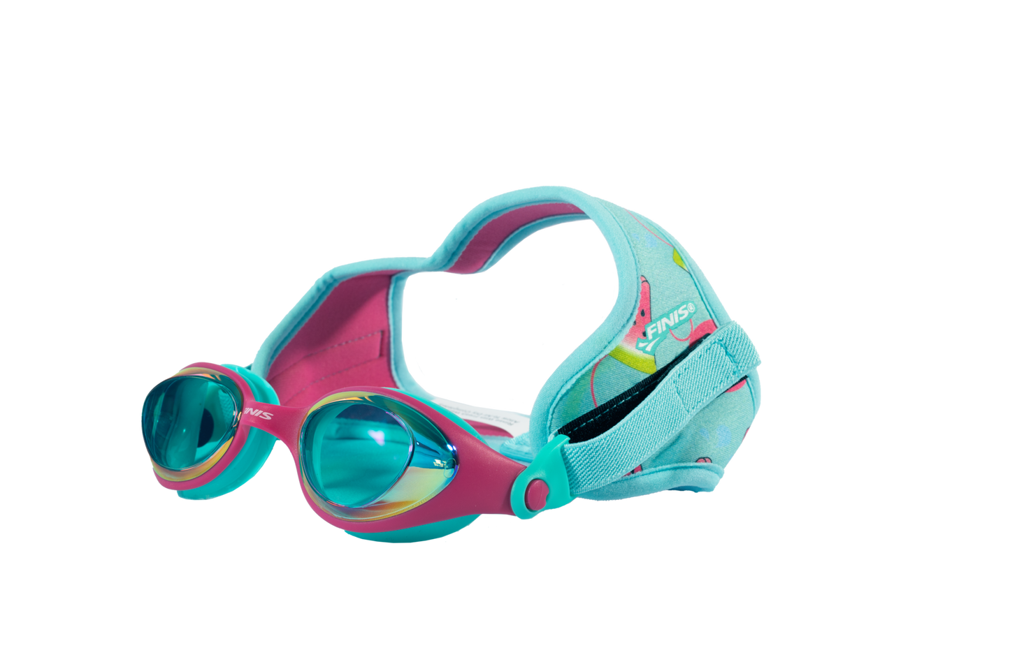 DragonFly Goggles