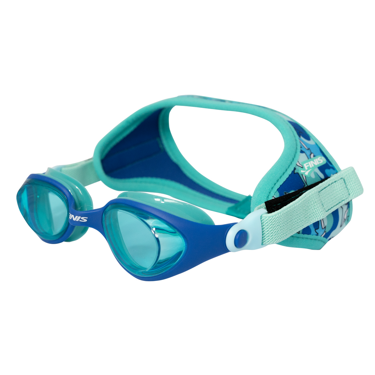 DragonFly Goggles