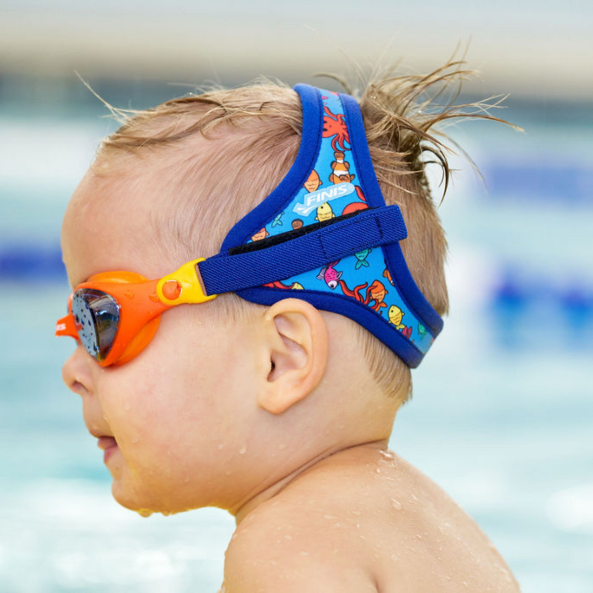 DragonFly Goggles